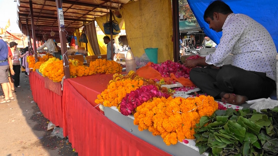 Indien_e  (303).jpg